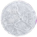 Frozen modifier
